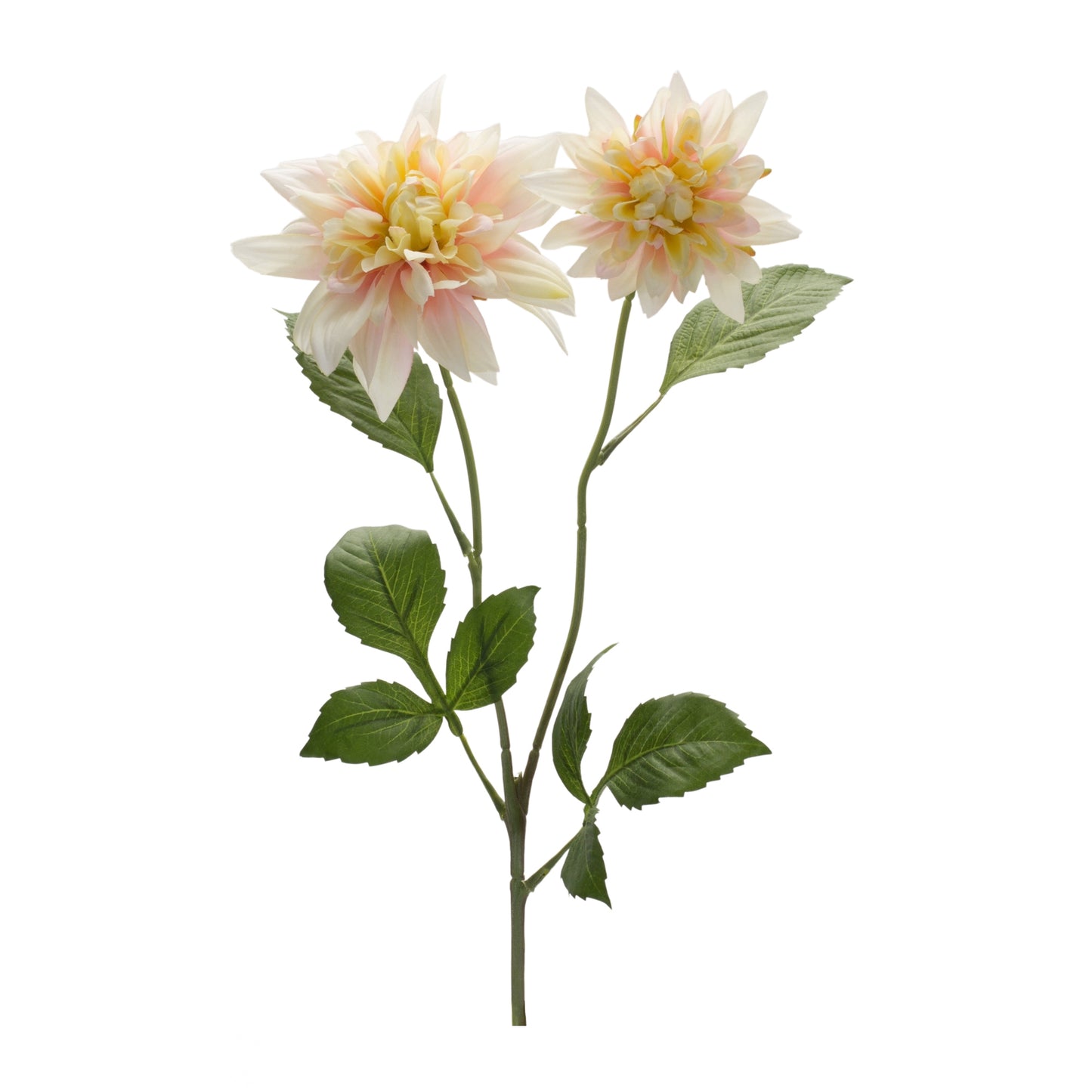 Dahlia (Set Of 6) 29.5"H Polyester