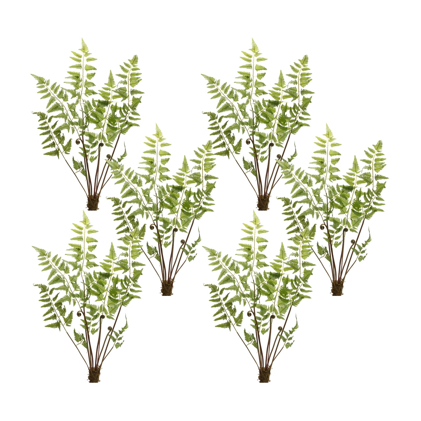 Fern Bundle (Set Of 6) 37"H Polyester