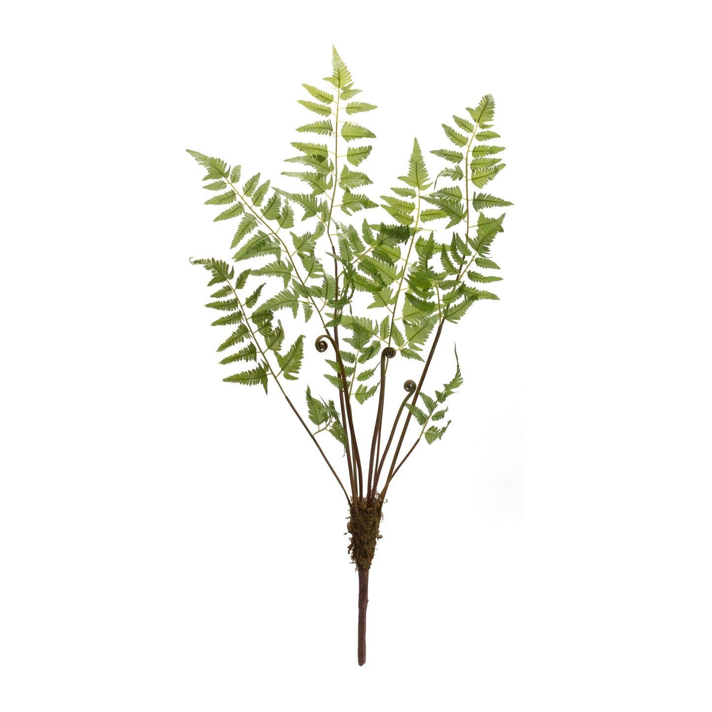 Fern Bundle (Set Of 6) 37"H Polyester