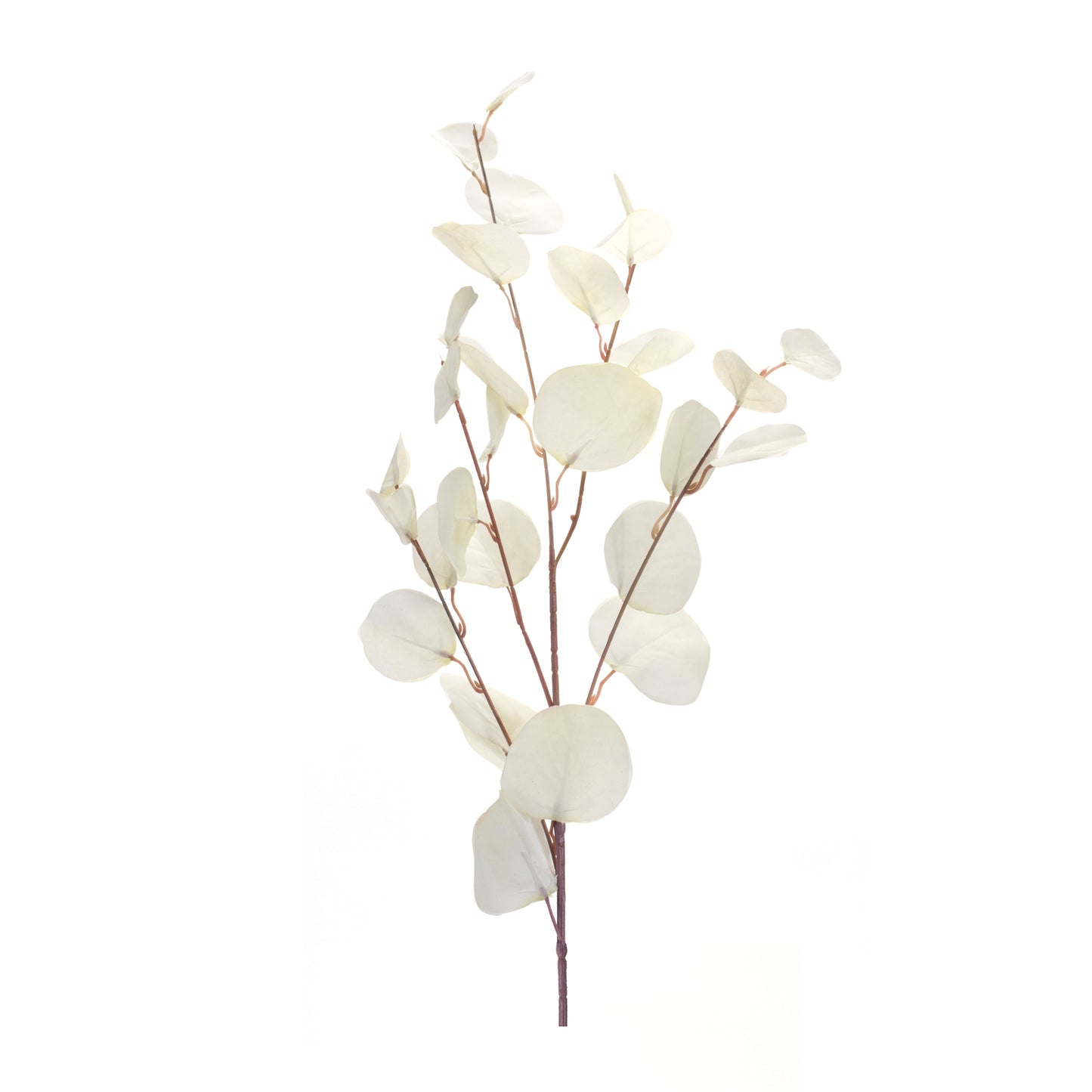 Eucalyptus Spray (Set Of 6) 34"H Polyester, White