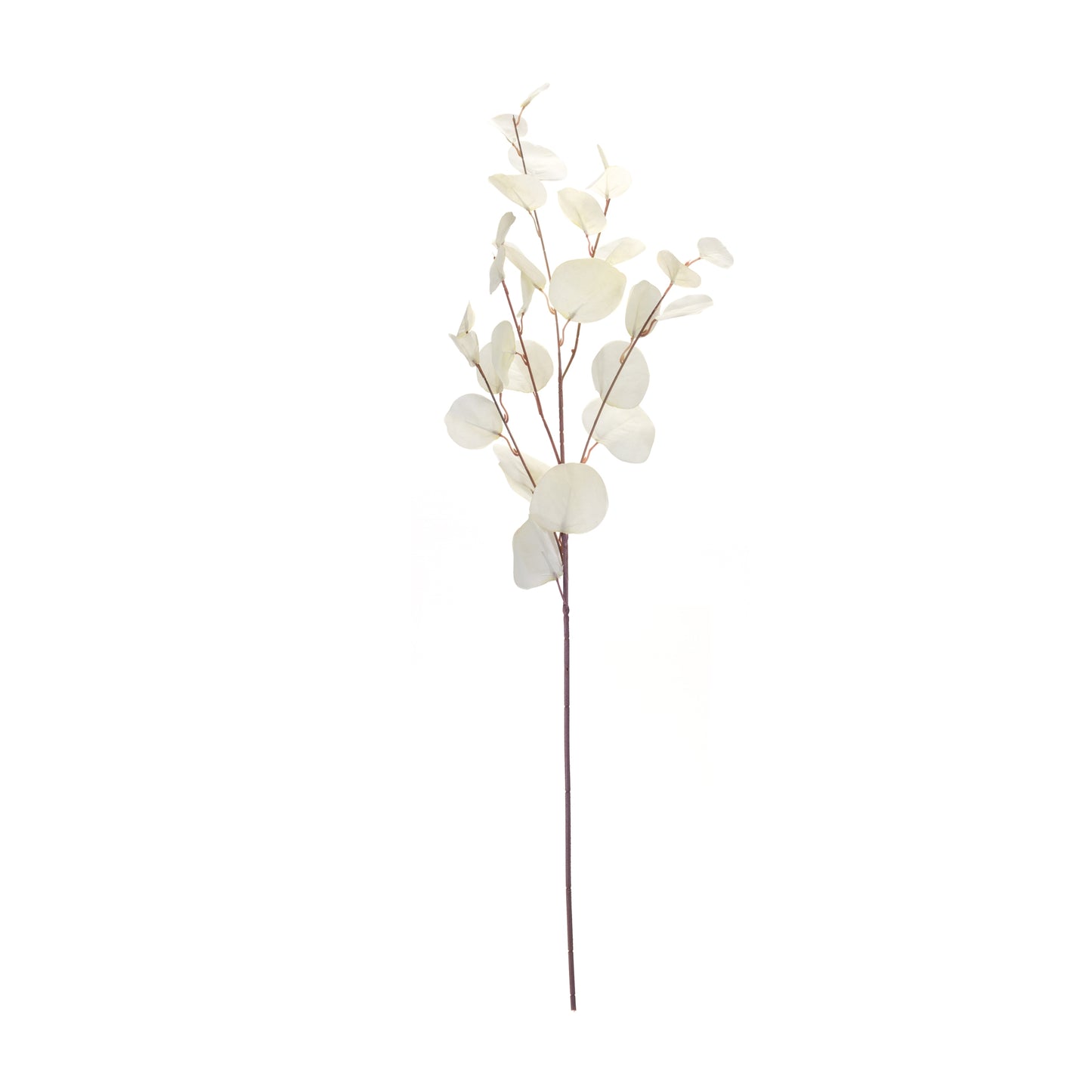 Eucalyptus Spray (Set Of 6) 34"H Polyester, White