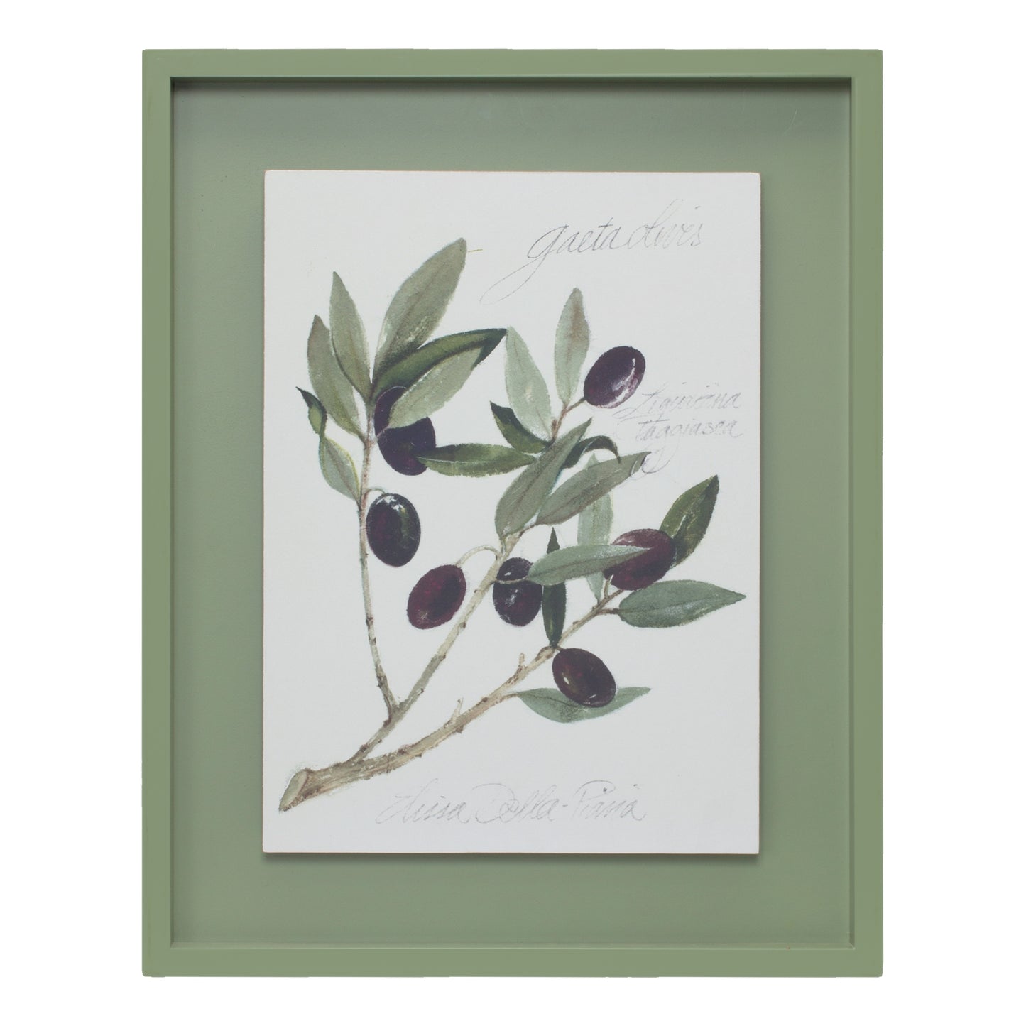 Framed Olive Print (Set Of 2) 15.75"L x 19.75"H Mdf/Wood