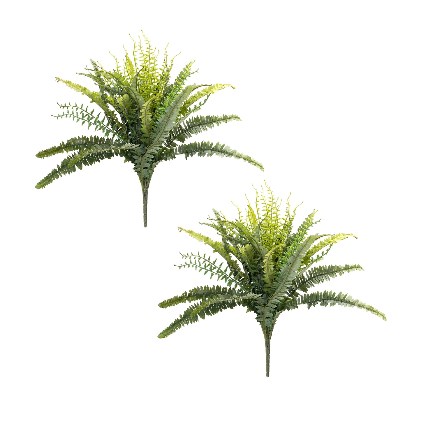 Mixed Fern Bush (Set Of 2) 22"H Polyester