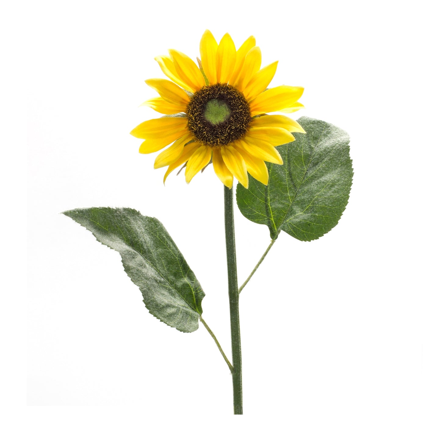 Sunflower Stem (Set Of 6) 22.75"H Polyester, Green, Yellow, Brown