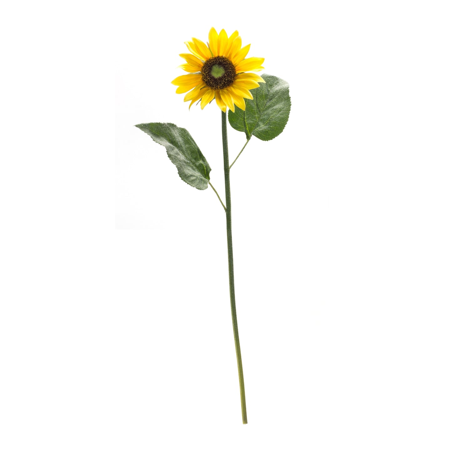 Sunflower Stem (Set Of 6) 22.75"H Polyester, Green, Yellow, Brown