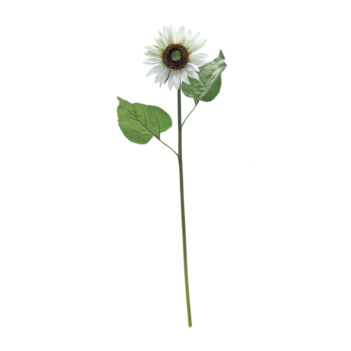 Sunflower Stem (Set Of 6) 22.75"H Polyester, Green, White, Brown