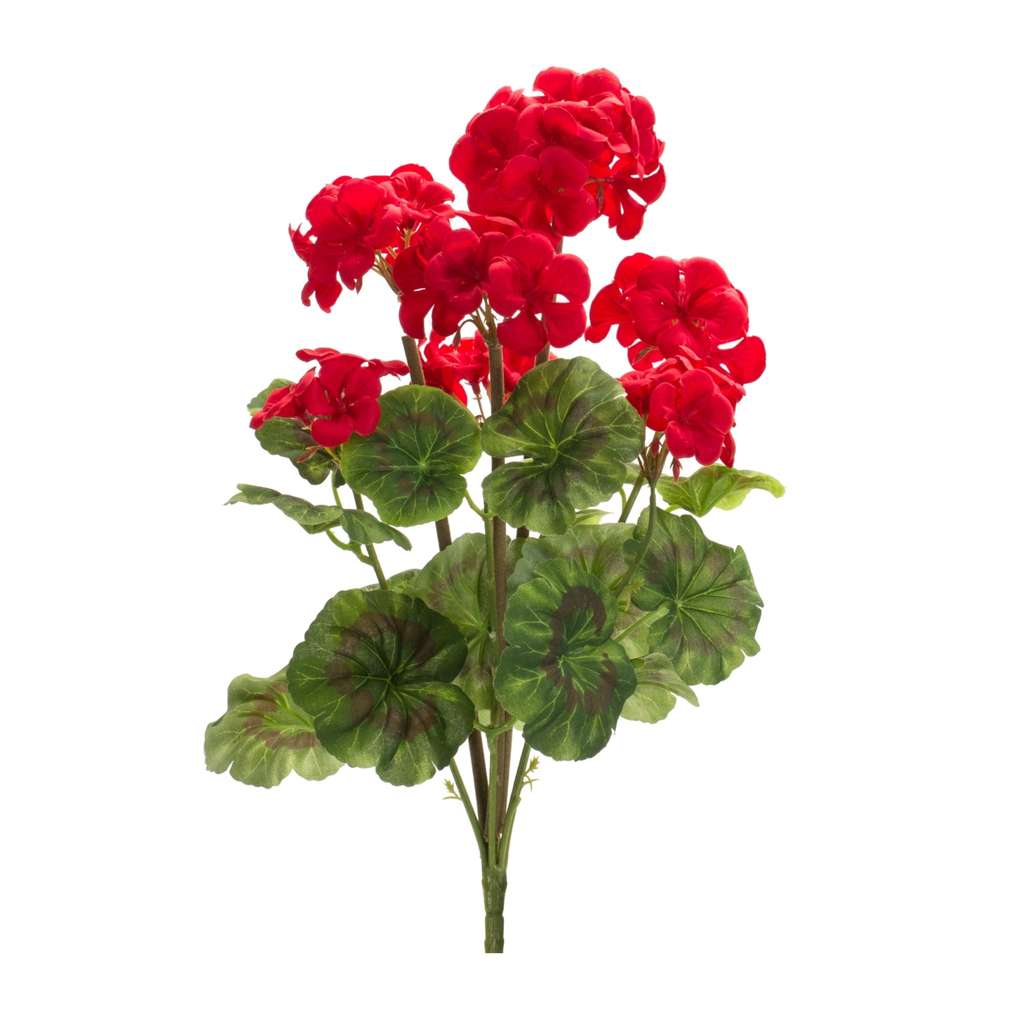 Geranium Bush (Set Of 6) 18"H Polyester