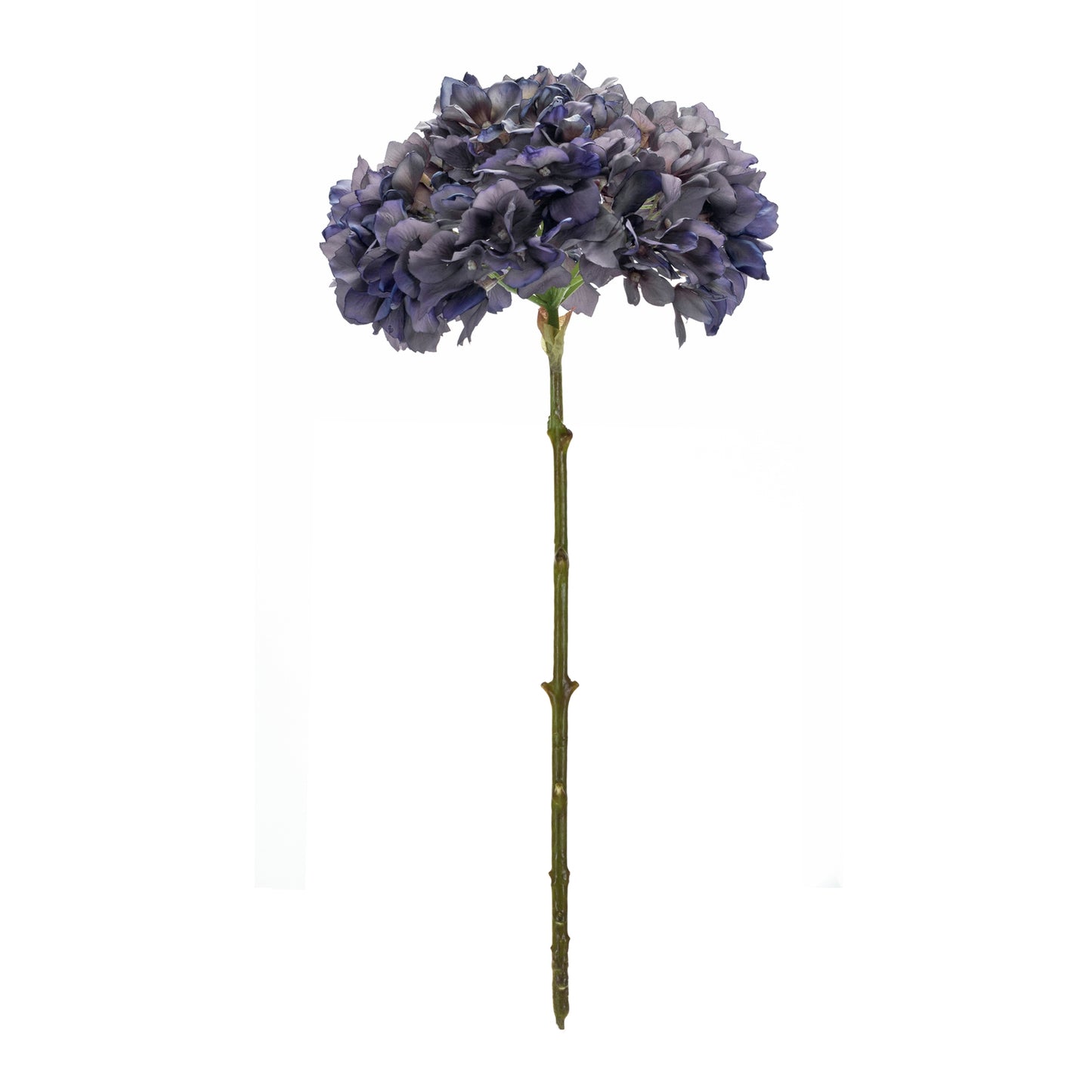 Hydrangea (Set Of 6) 19"H Polyester