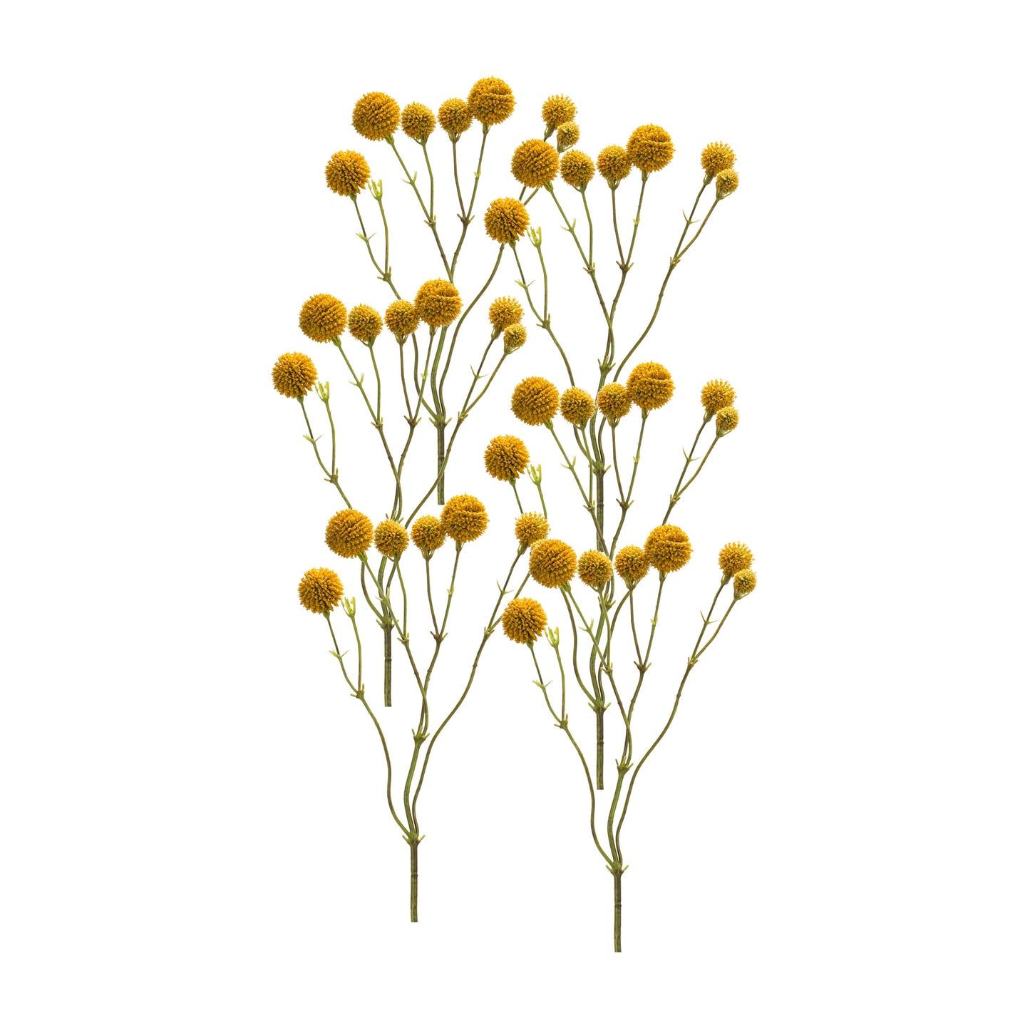 Pod Spray (Set Of 6) 20"H Plastic