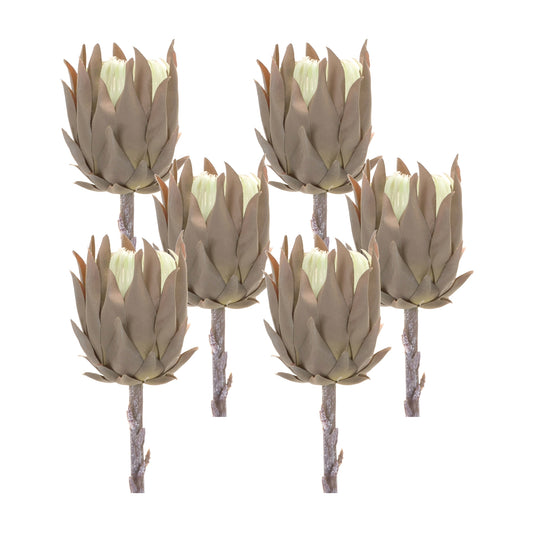 Protea Stem (Set Of 6) 20"H Plastic, Brown
