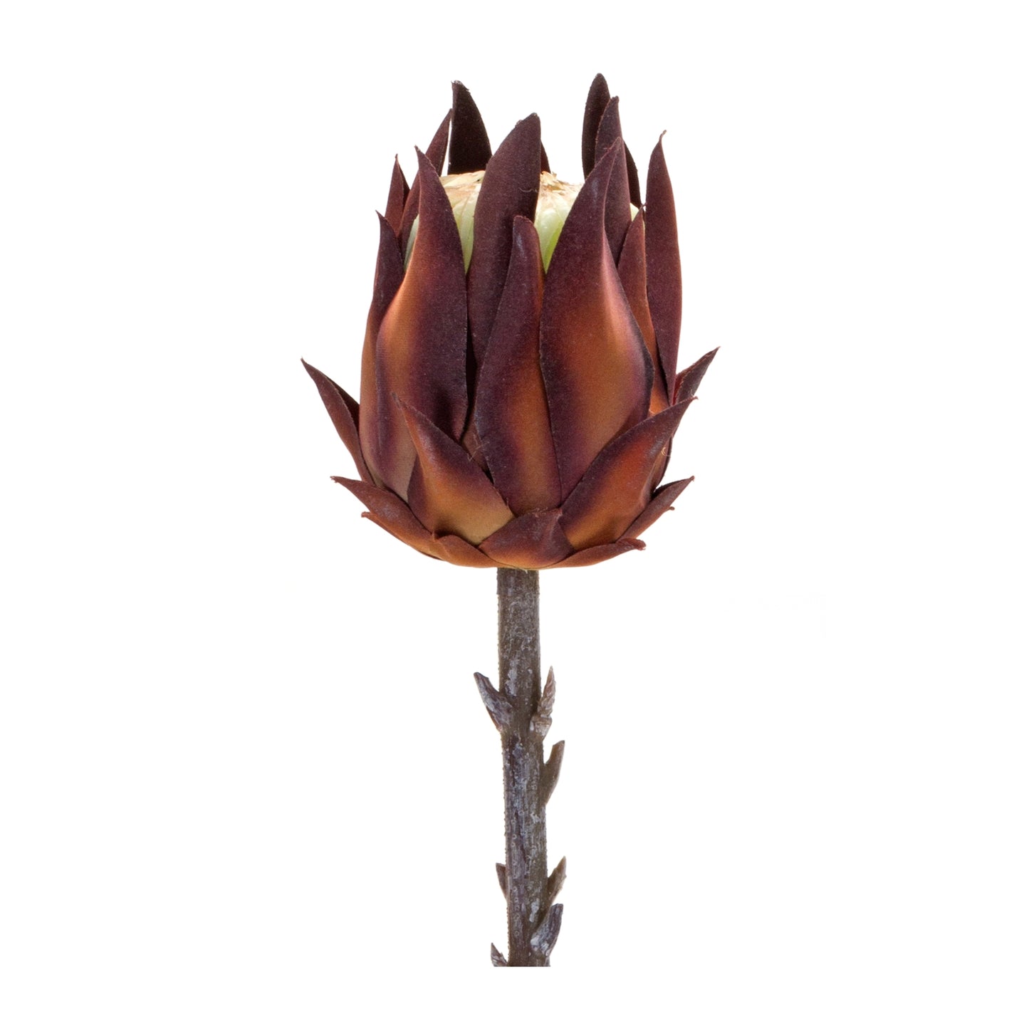 Protea Stem (Set Of 6) 20"H Plastic, Orange, Brown