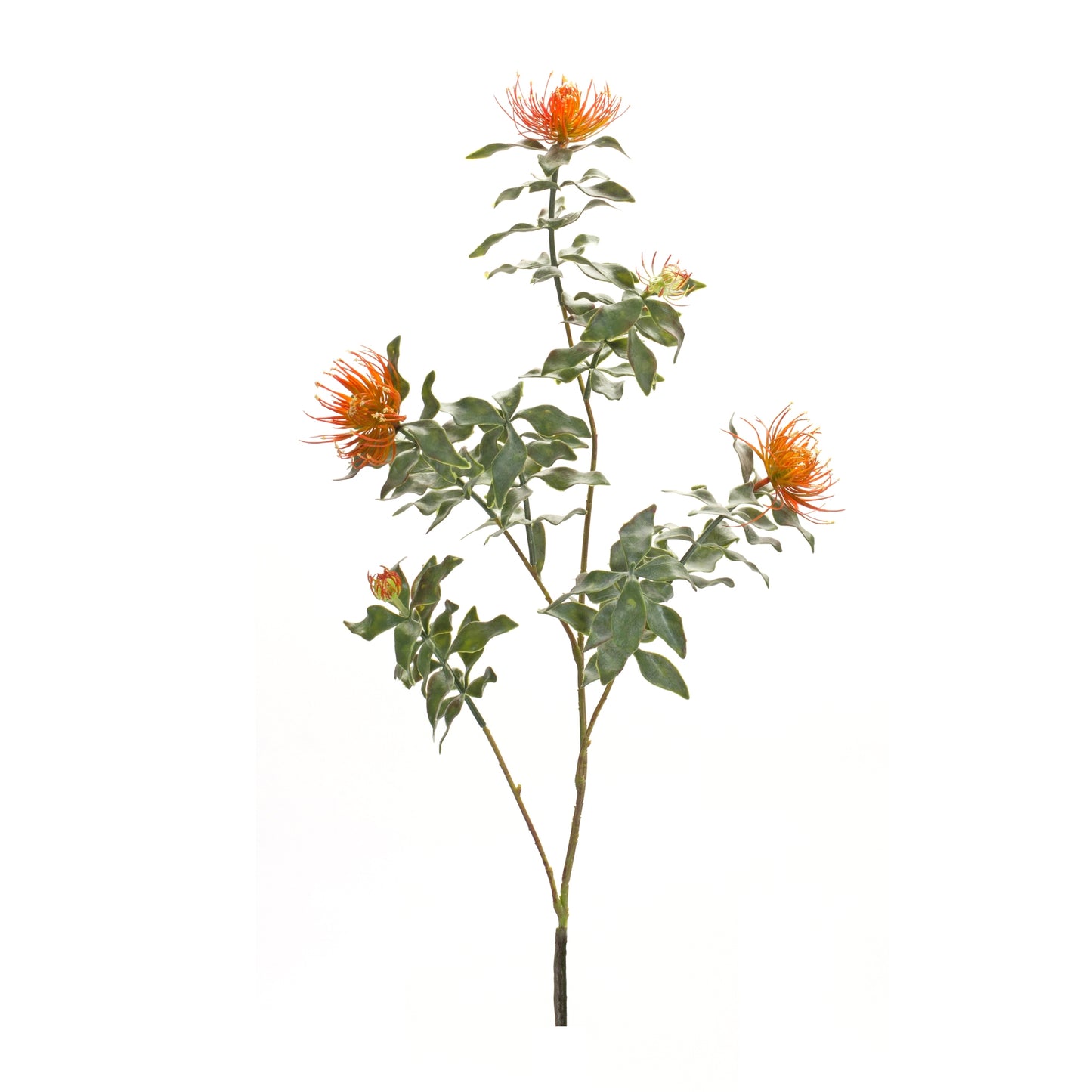 Protea Stem (Set Of 6) 34.25"H Plastic/Flocking, Orange, Green