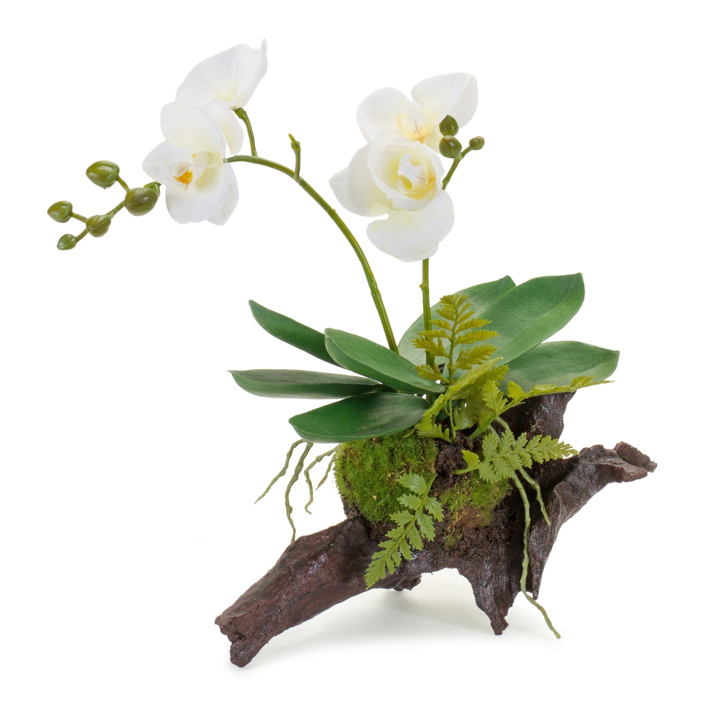 Orchid Premade (Set Of 2) 12.5"H Polyester