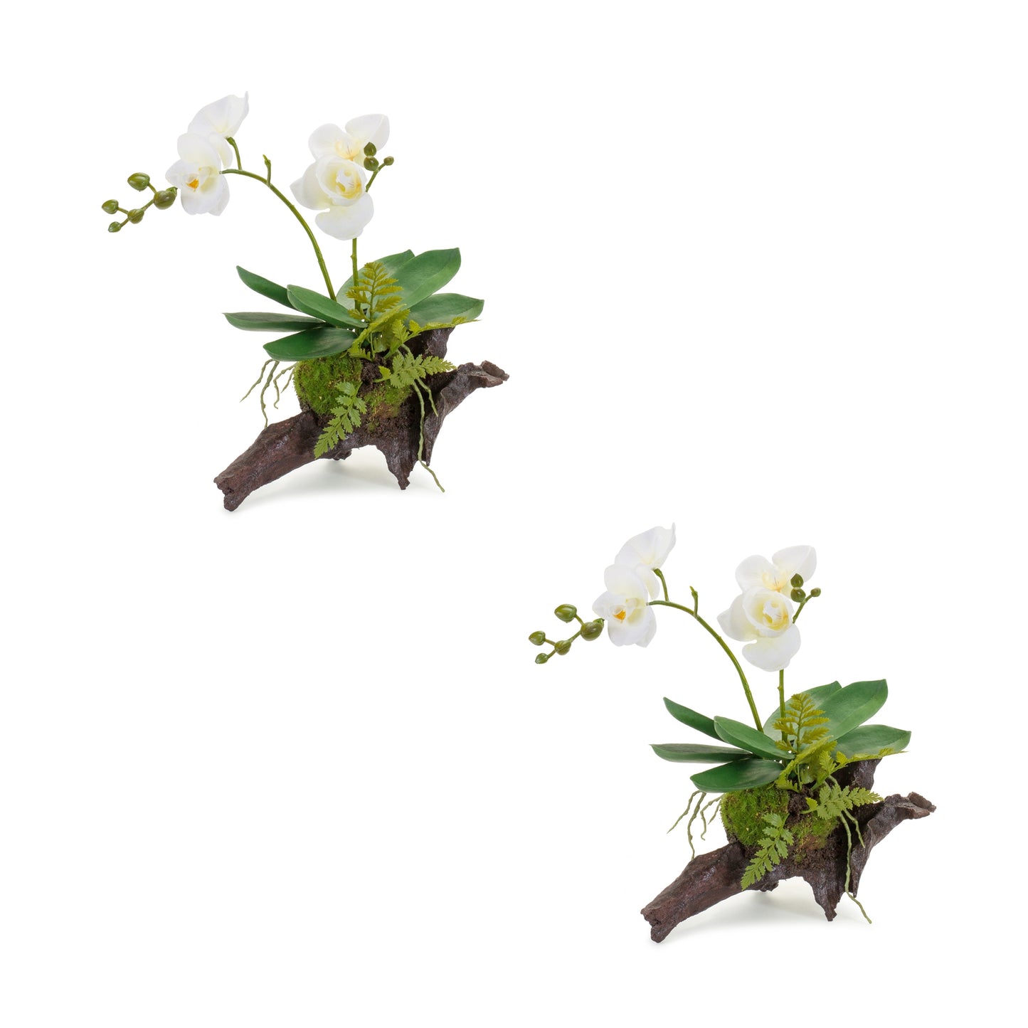 Orchid Premade (Set Of 2) 12.5"H Polyester