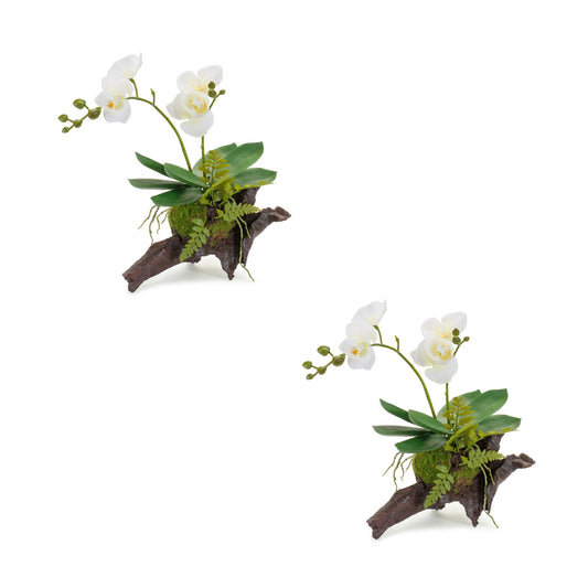 Orchid Premade (Set Of 2) 12.5"H Polyester