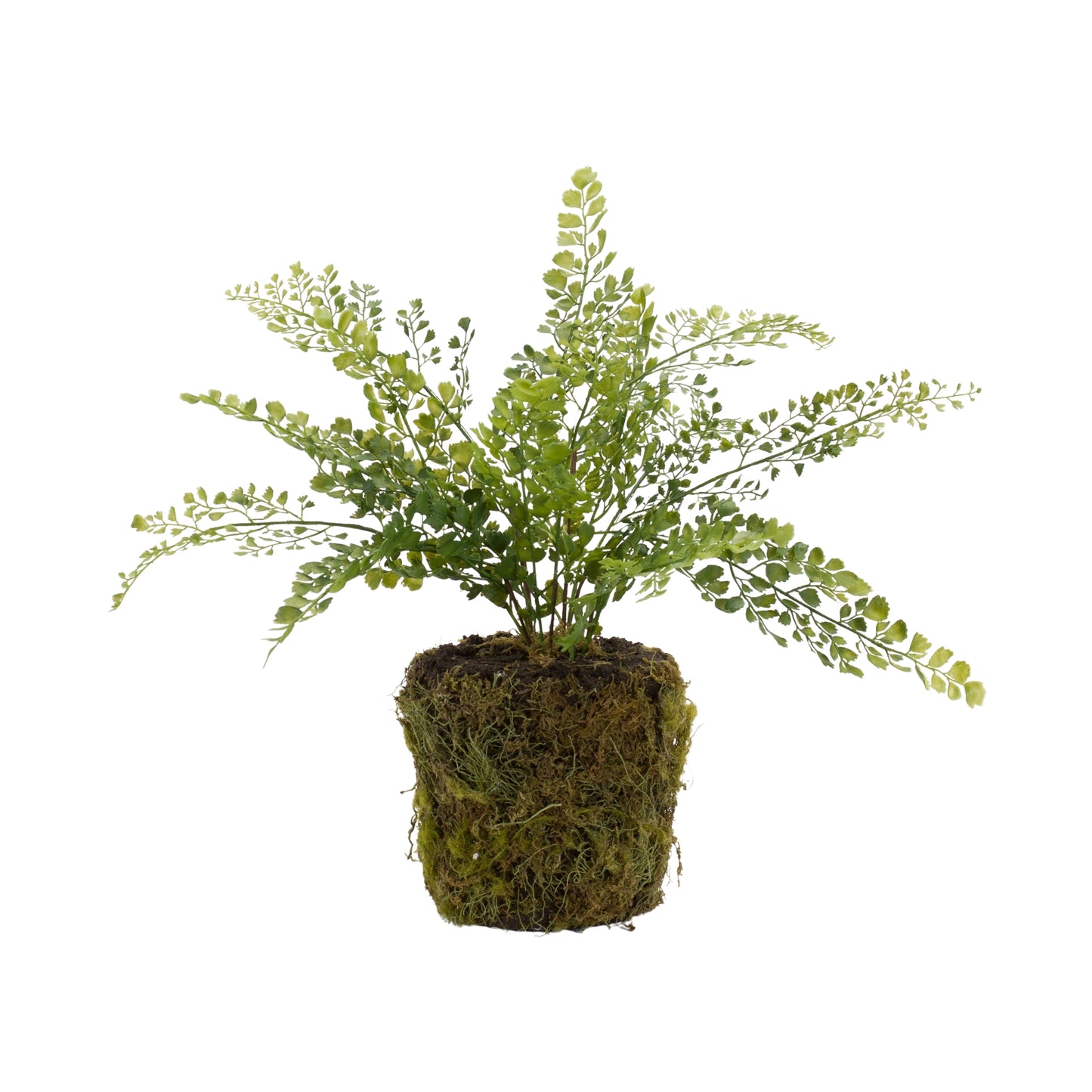 Potted Fern Bush (Set Of 2) 18"H Plastic