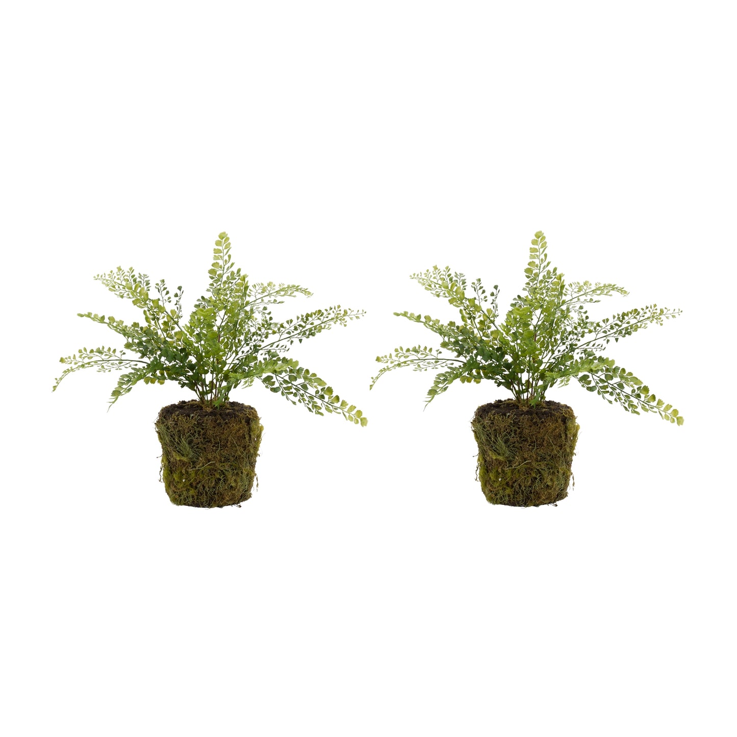 Potted Fern Bush (Set Of 2) 18"H Plastic