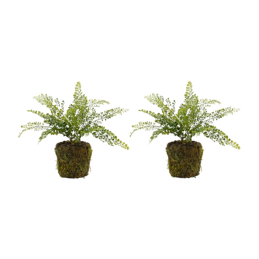 Potted Fern Bush (Set Of 2) 18"H Plastic