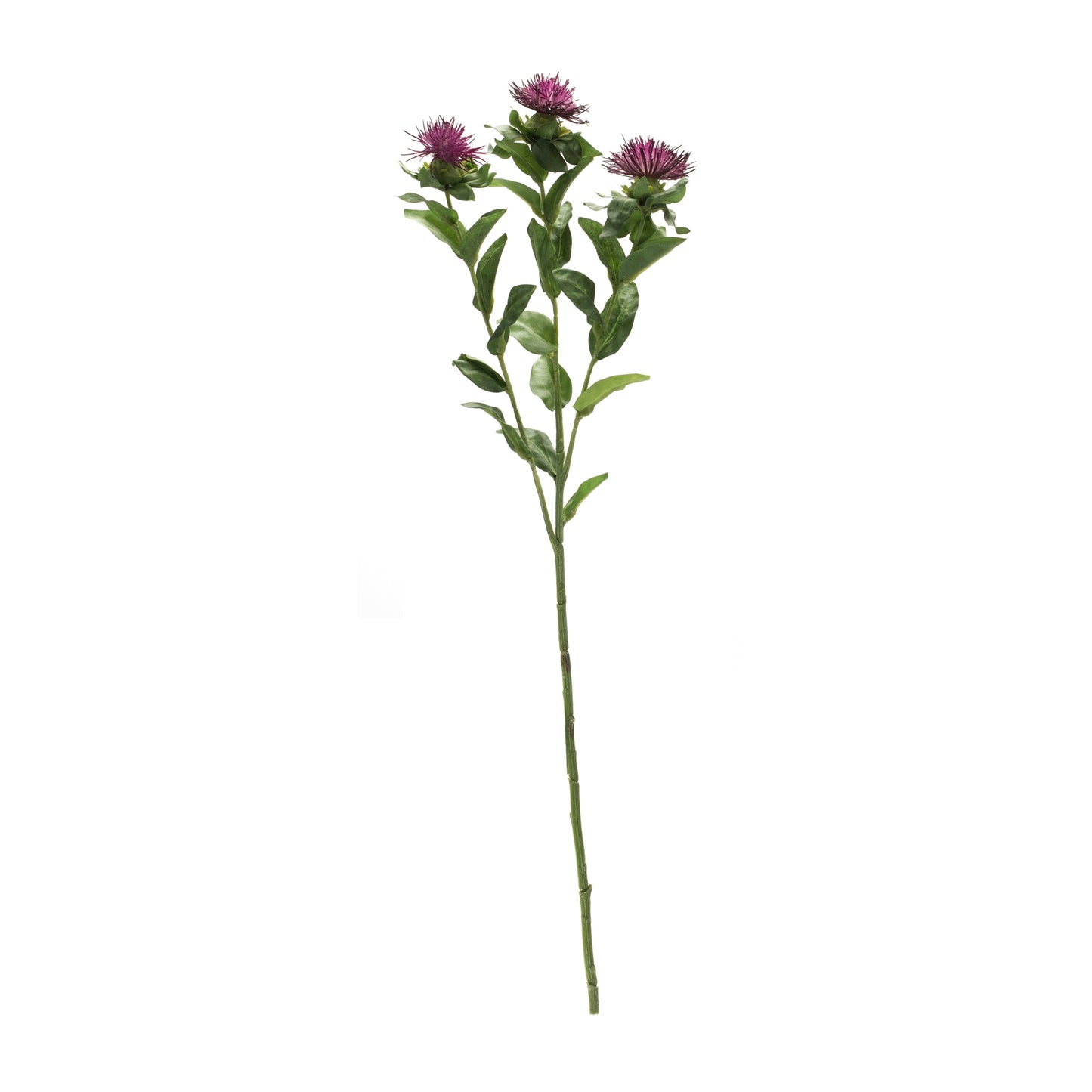 Thistle Spray (Set Of 6) 24.5"H Polyester, Purple