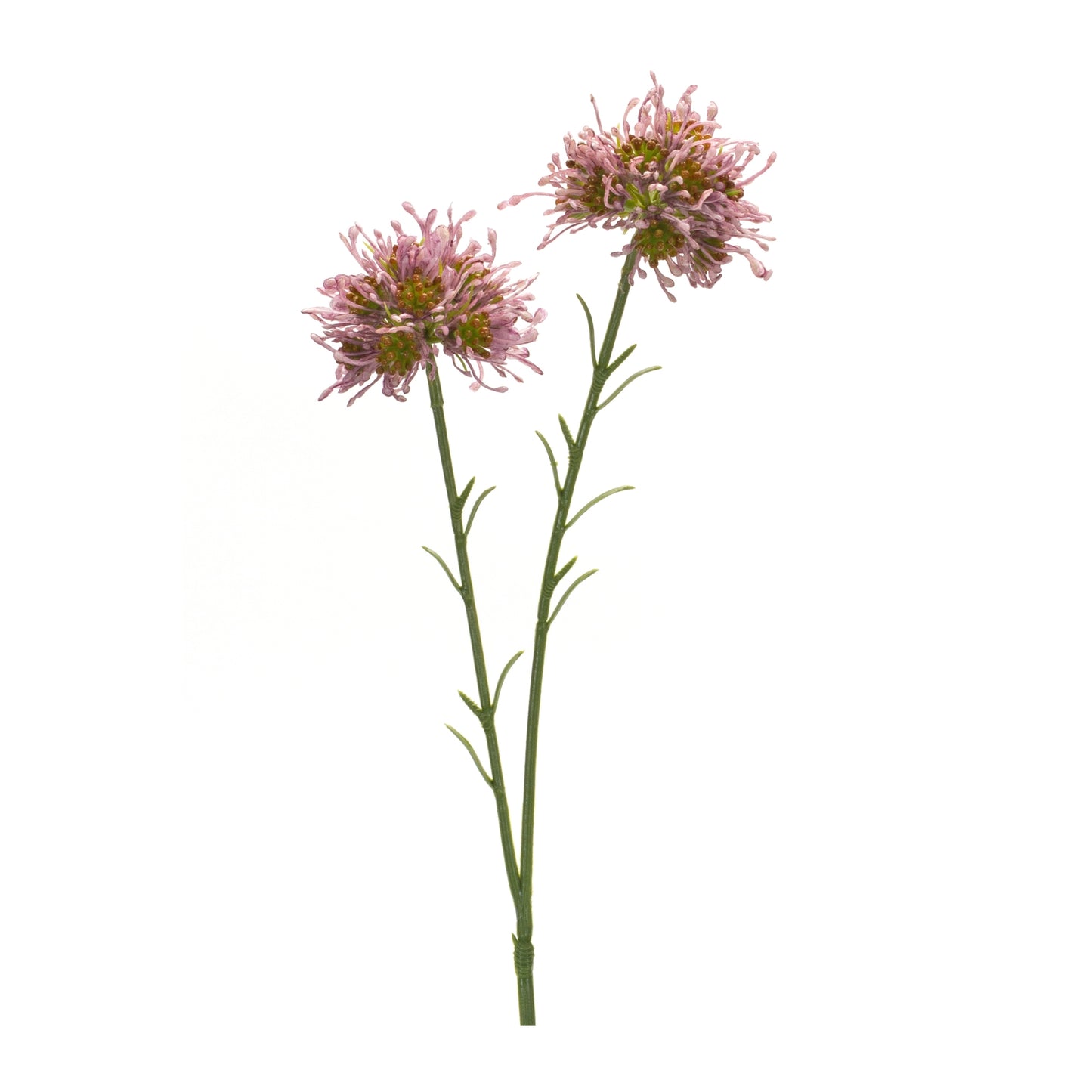 Allium Spray (Set Of 6) 18.5"H Plastic