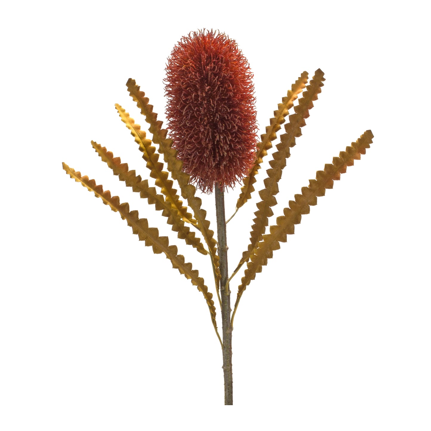 Banksia Stem (Set Of 6) 24"H Plastic