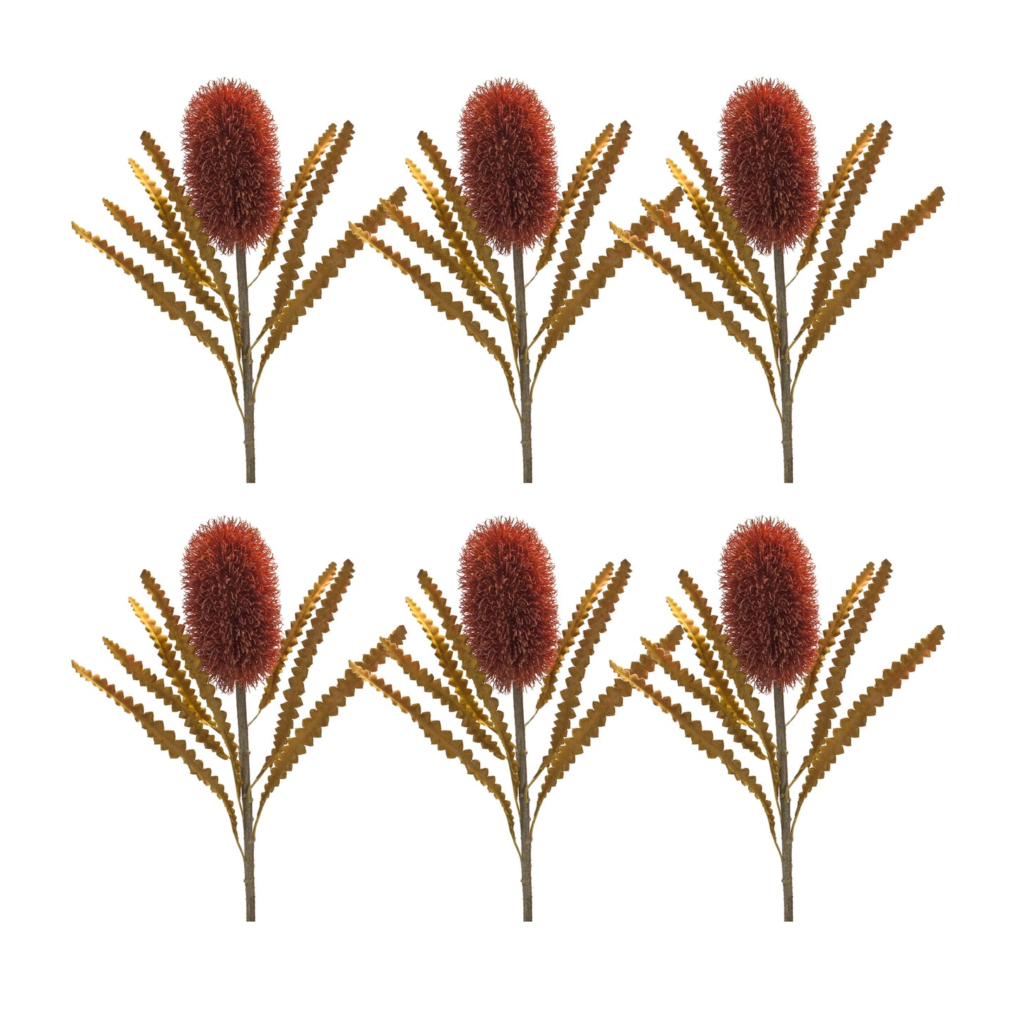 Banksia Stem (Set Of 6) 24"H Plastic