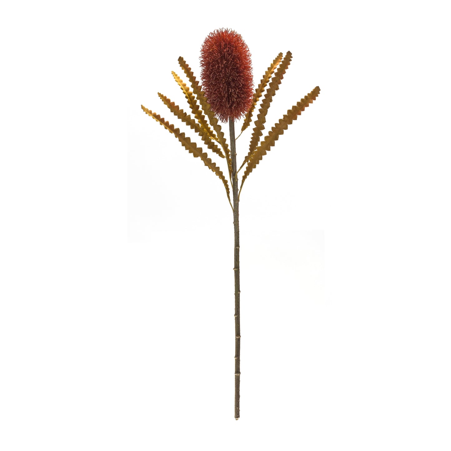 Banksia Stem (Set Of 6) 24"H Plastic