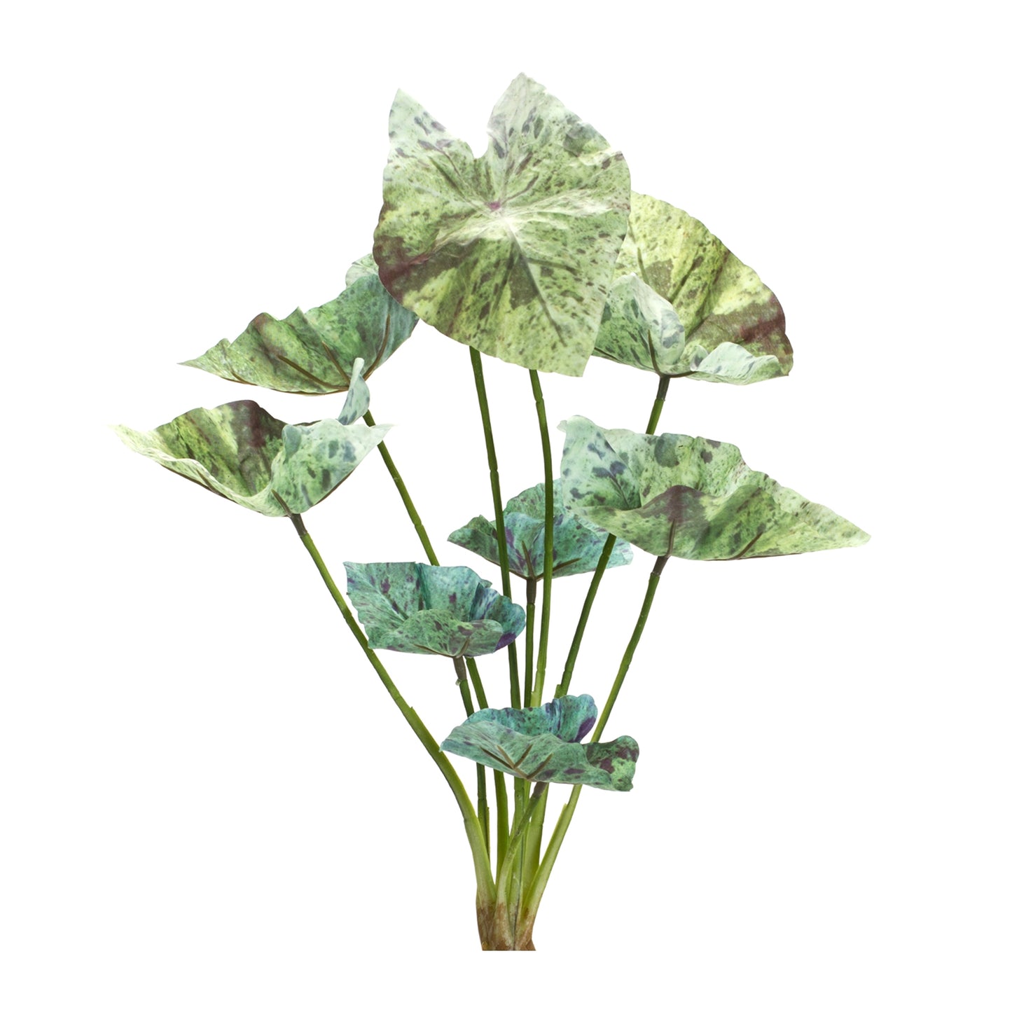 Caladium Bush (Set Of 6) 18.5"H Polyester, Green