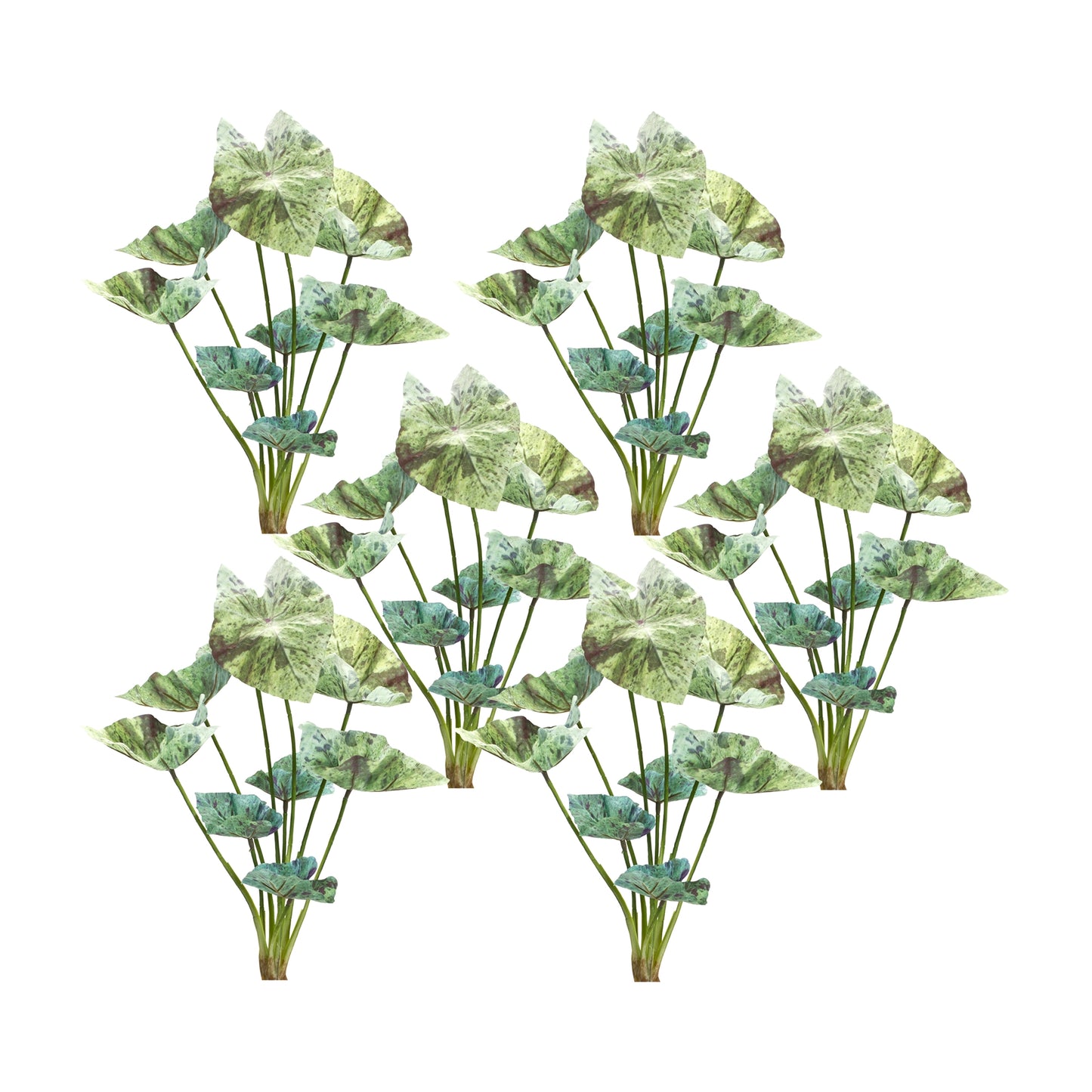 Caladium Bush (Set Of 6) 18.5"H Polyester, Green
