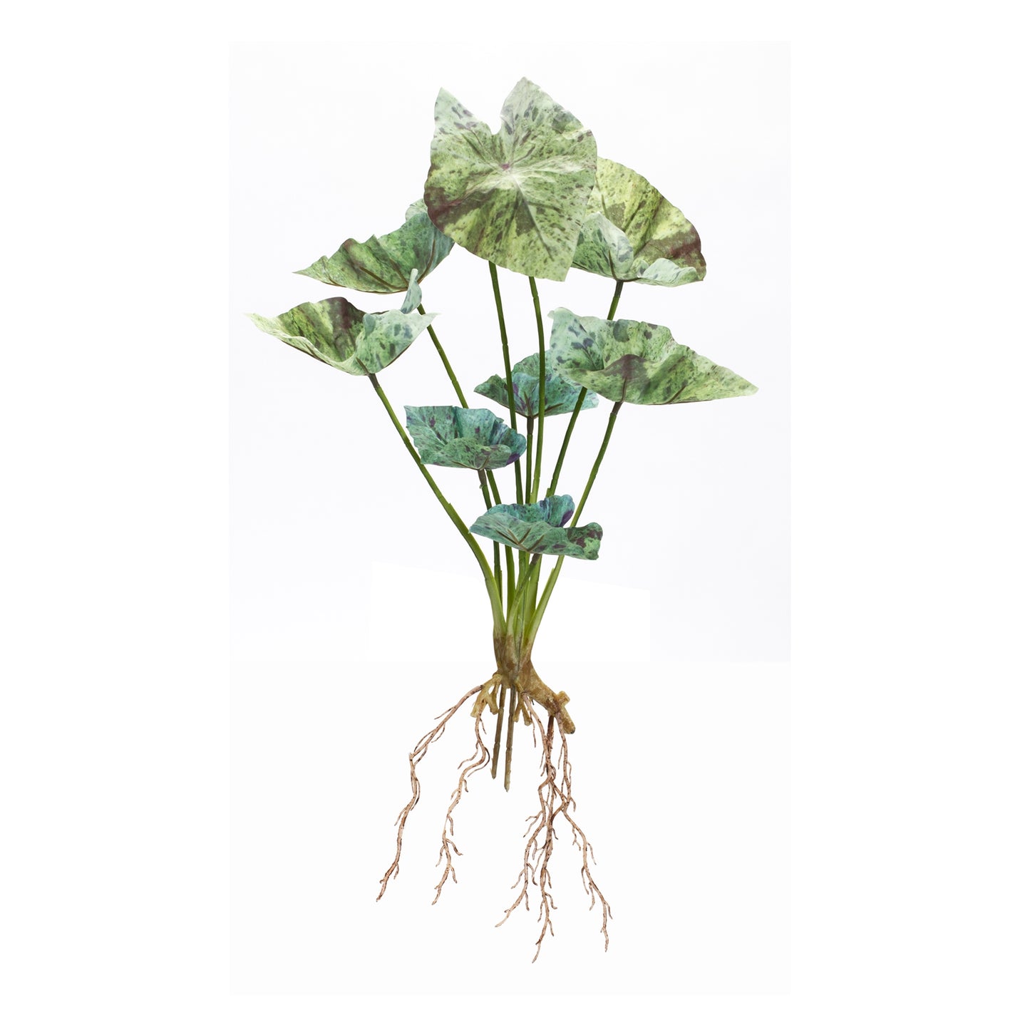 Caladium Bush (Set Of 6) 18.5"H Polyester, Green