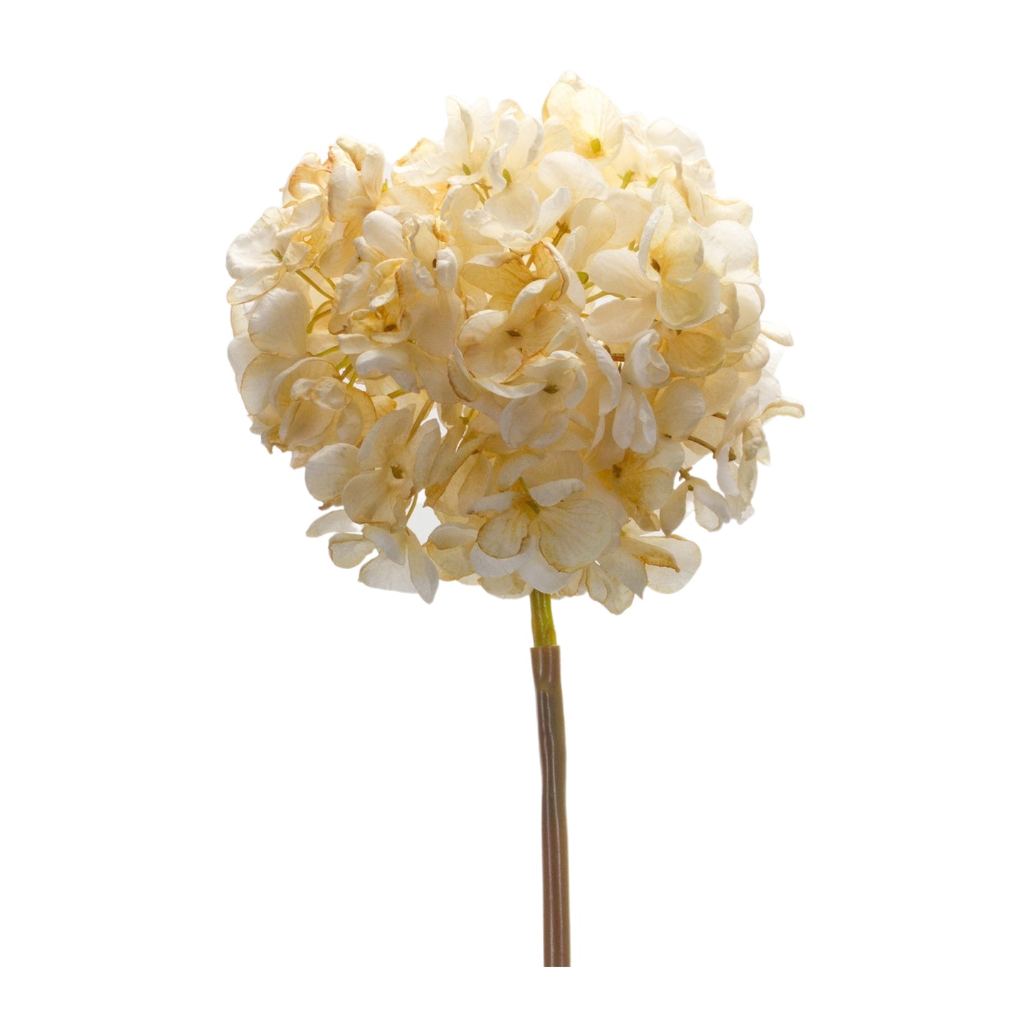 Hydrangea Stem (Set Of 6) 23"H Polyester, Beige