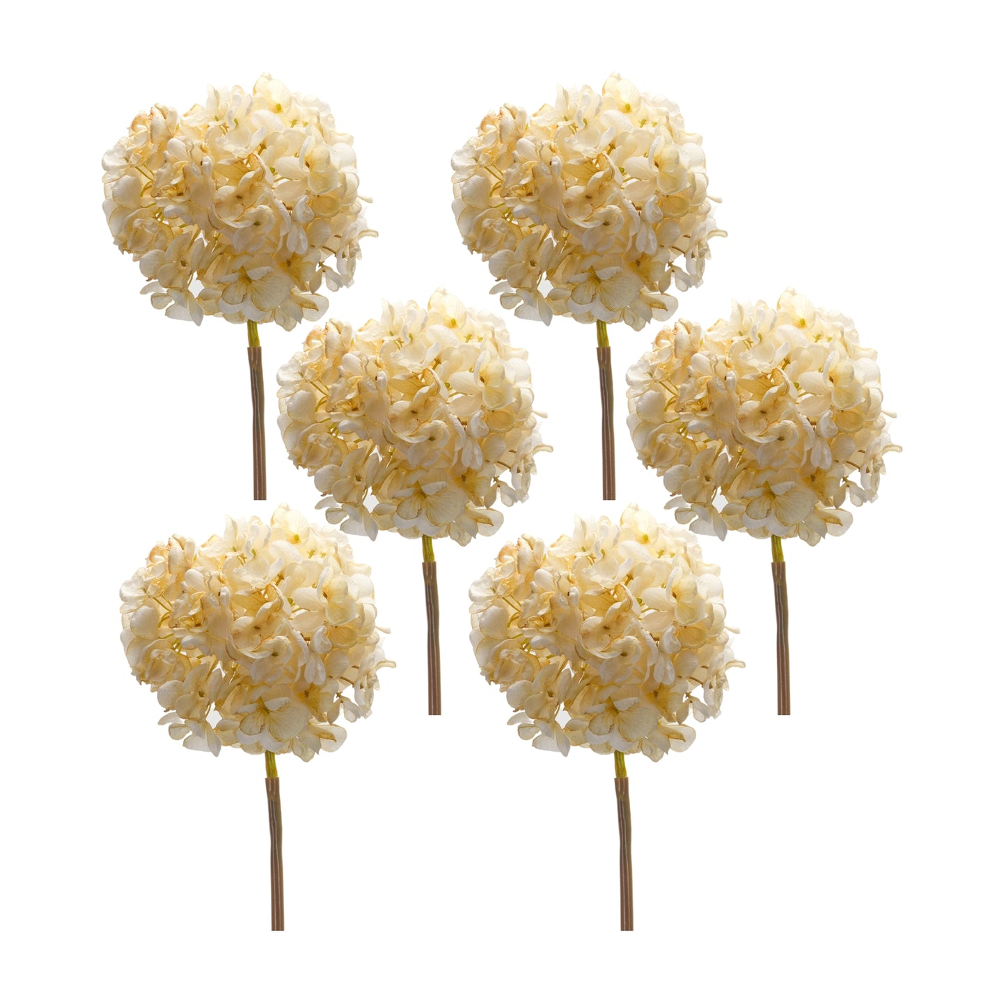Hydrangea Stem (Set Of 6) 23"H Polyester, Beige