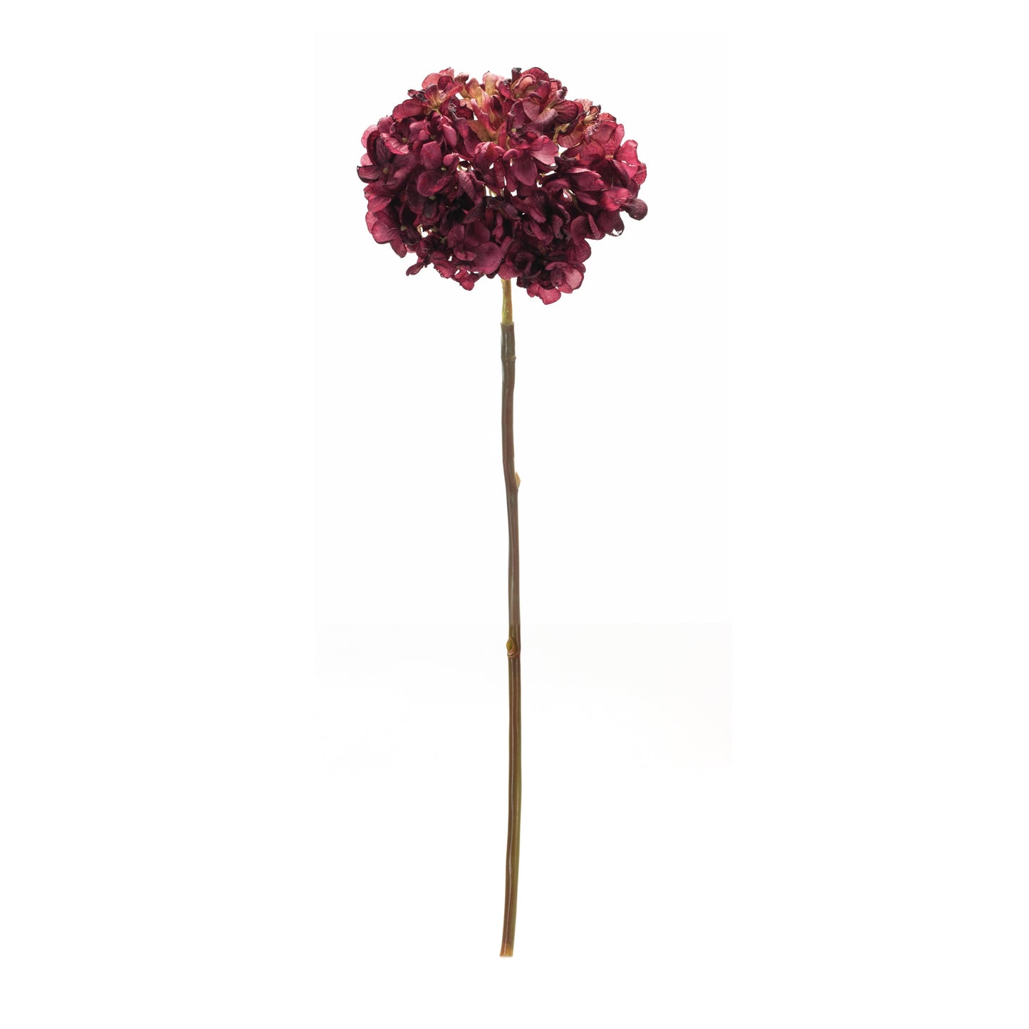 Hydrangea Stem (Set Of 6) 23"H Polyester, Red