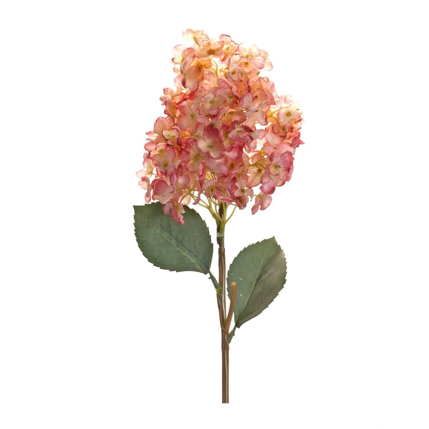 Cone Hydrangea Stem (Set Of 6), Pink, Green