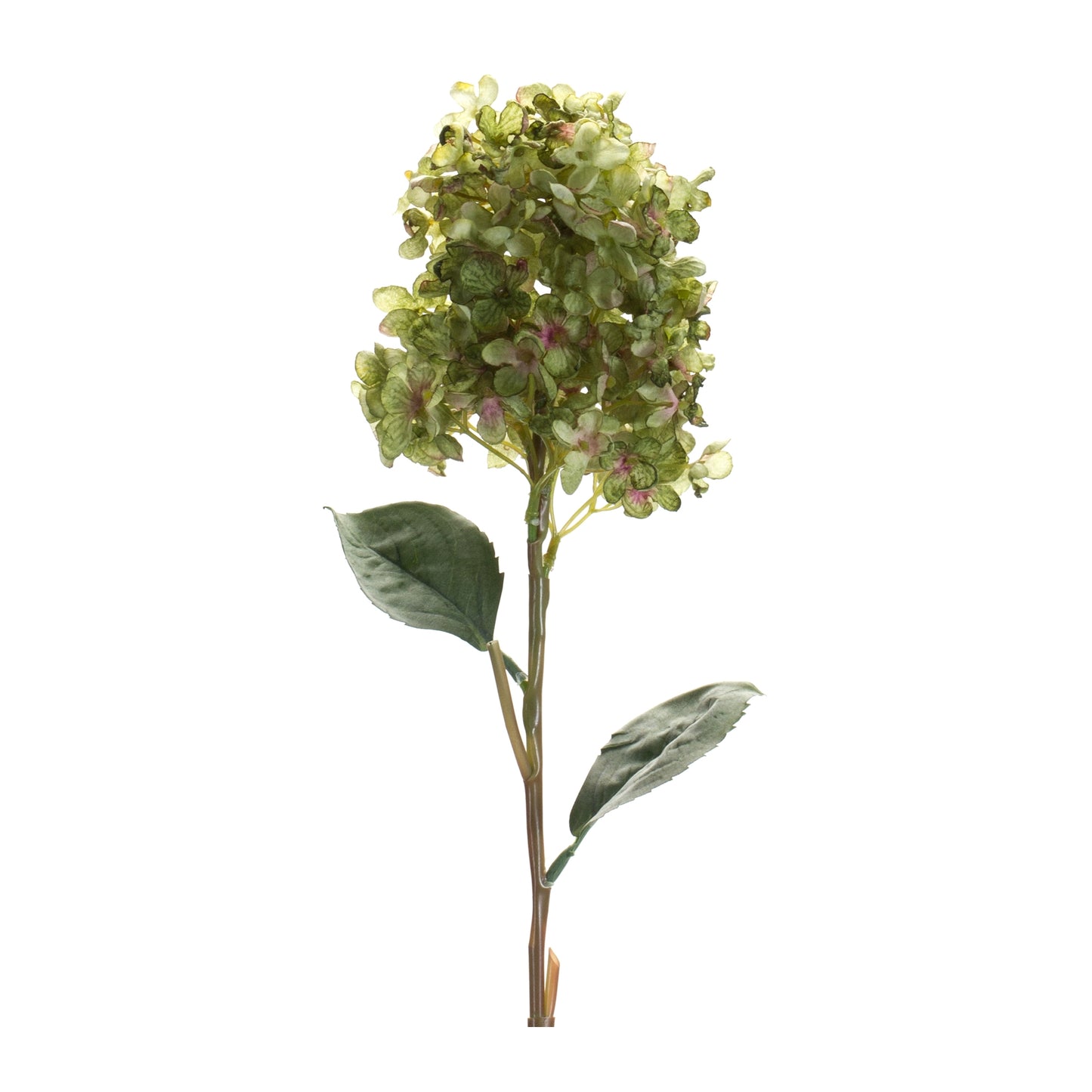 Hydrangea Stem (Set Of 6) 34"H Polyester