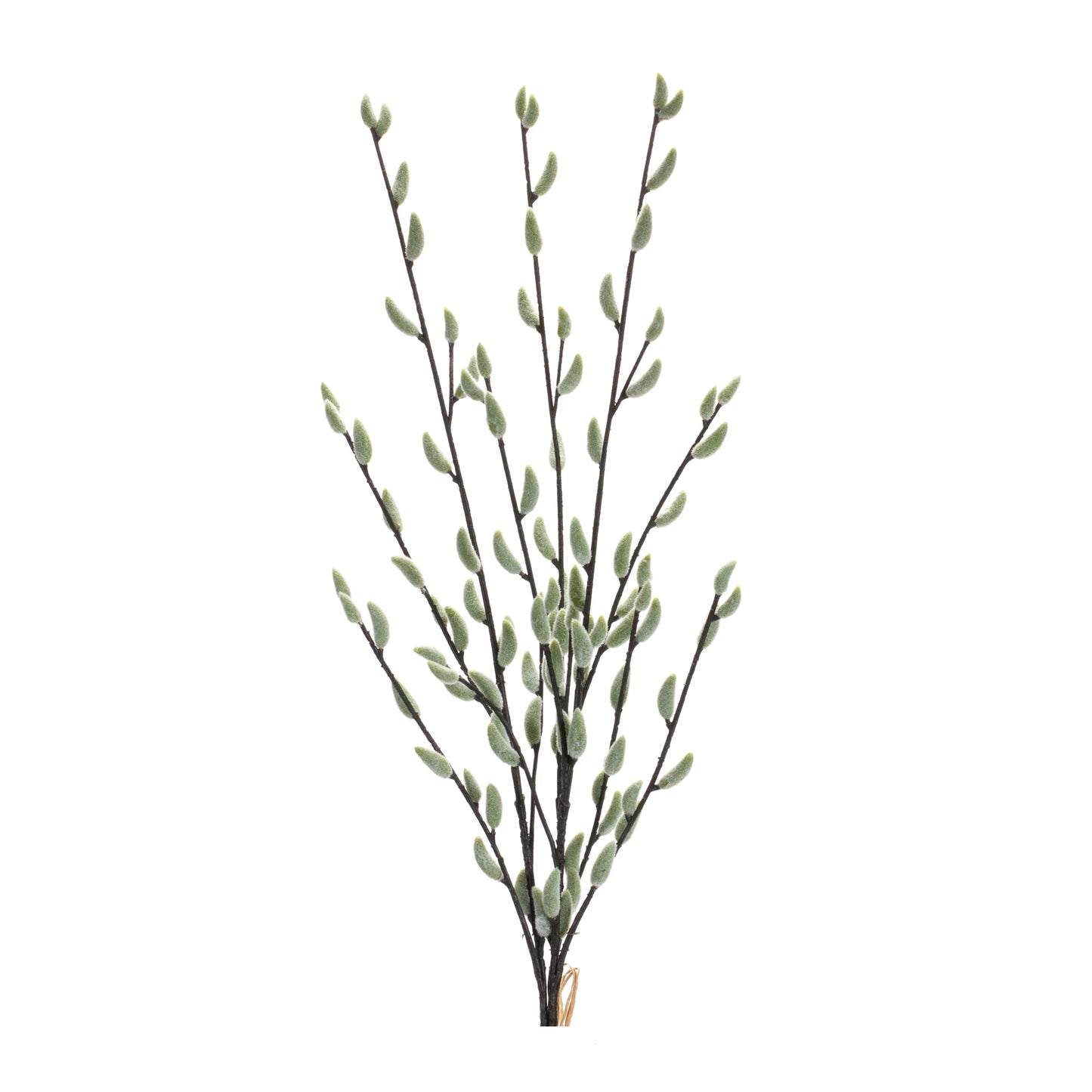 Willow Bundle (Set Of 6) 29.75"H Plastic