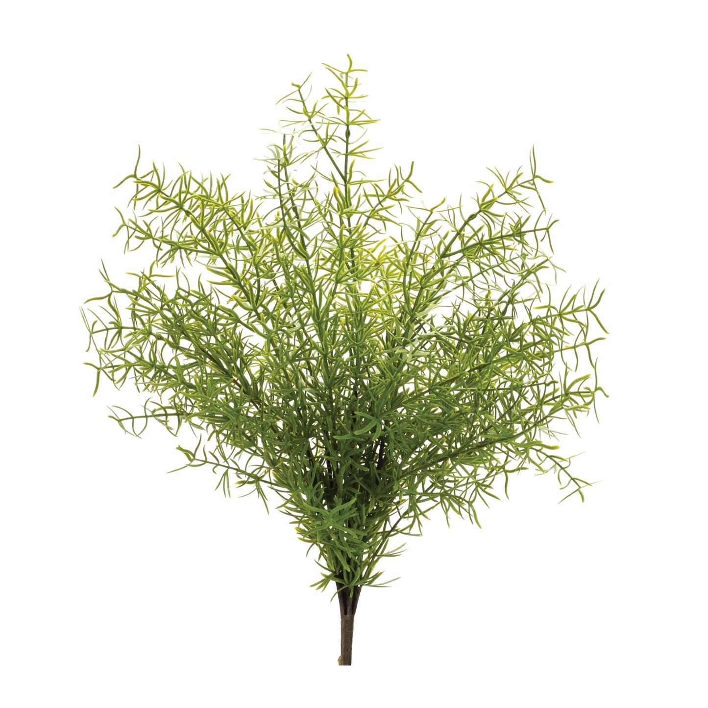 Asparagus Fern Bush (Set Of 6) 18.5"H Plastic