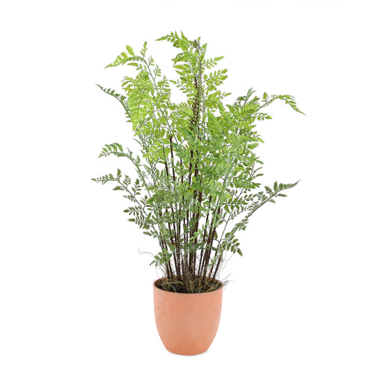 Potted Fern Plant 30"H Plastic/Terra Cotta