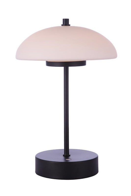 Indoor Rechargeable Dimmable LED Portable Lamp with Glass Shade, FB