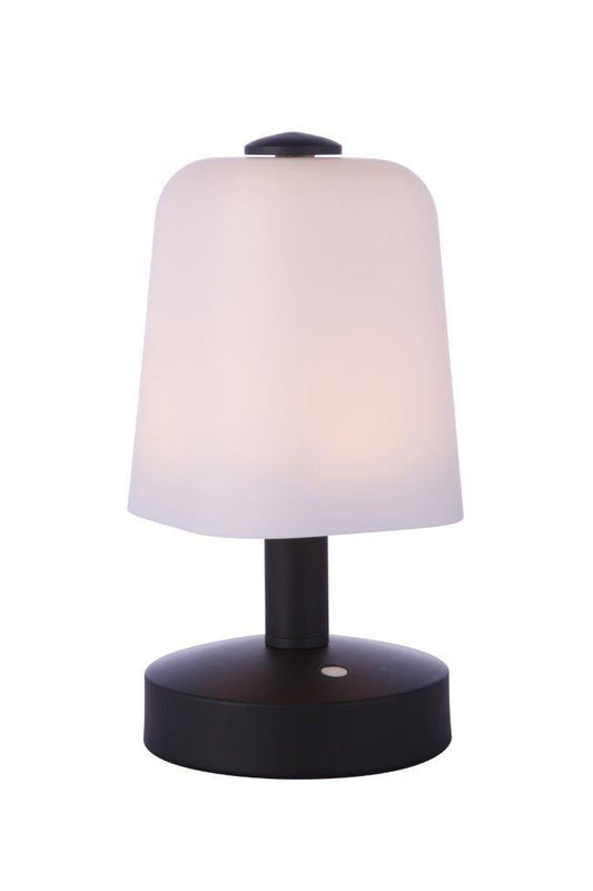 Outdoor Rechargeable Dimmable LED Portable Lamp with Glass Shade, MN, Wet