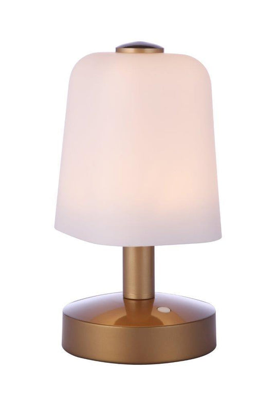 Outdoor Rechargeable Dimmable LED Portable Lamp with Glass Shade, SB, Wet