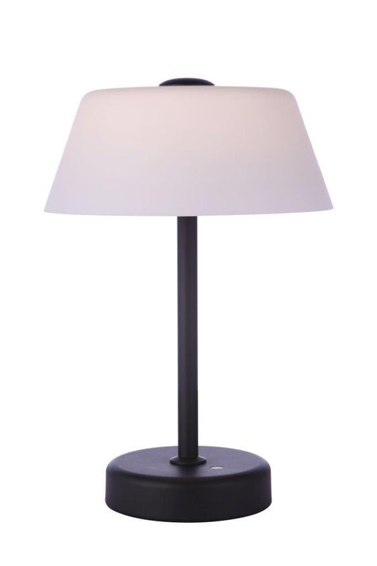 Outdoor Rechargeable Dimmable LED Portable Lamp w/ Glass Shade, MN
