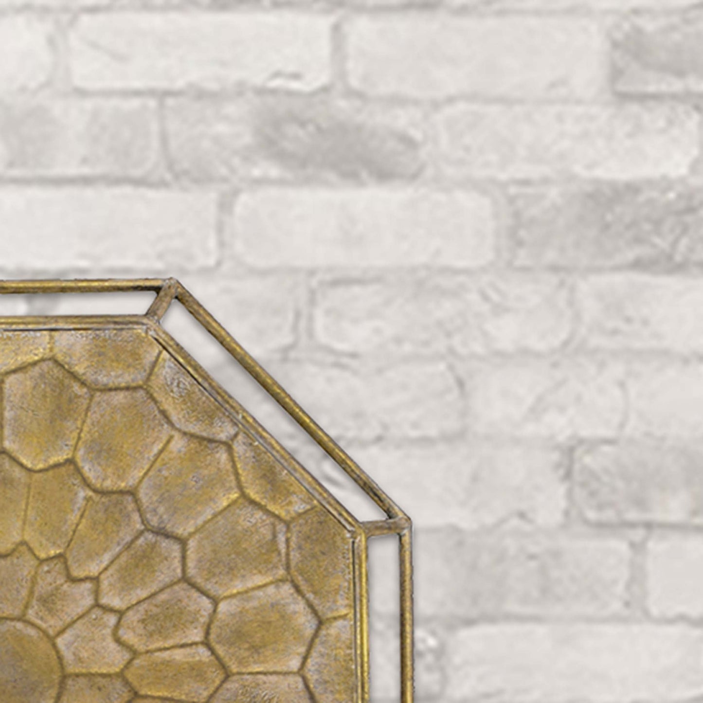 Paragon Gold Wonder 1