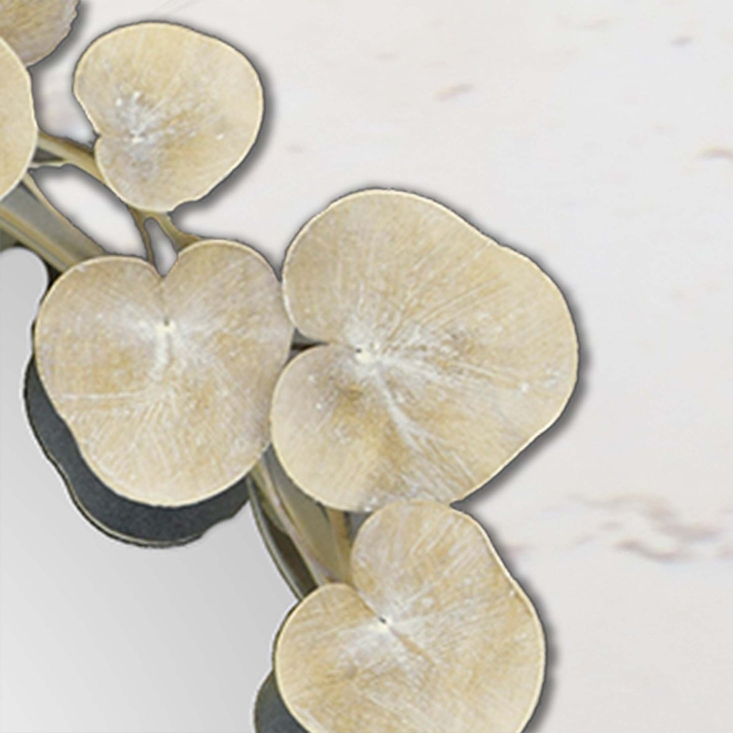 Paragon Eucalyptus Mirror
