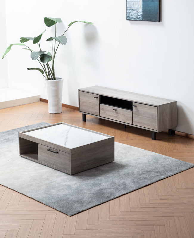 Apollo Gray Oak Finish TV Stand and Coffee Table Set