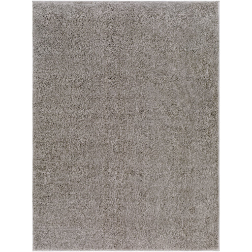Surya Alfombra Afb-2302 Rug 3'3" X 5'