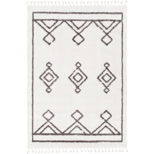 Surya Alhambra Rug 9'3" X 12' Cream