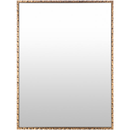 Surya Alchemist Mirror 40"H X 30"W X 0.5"D