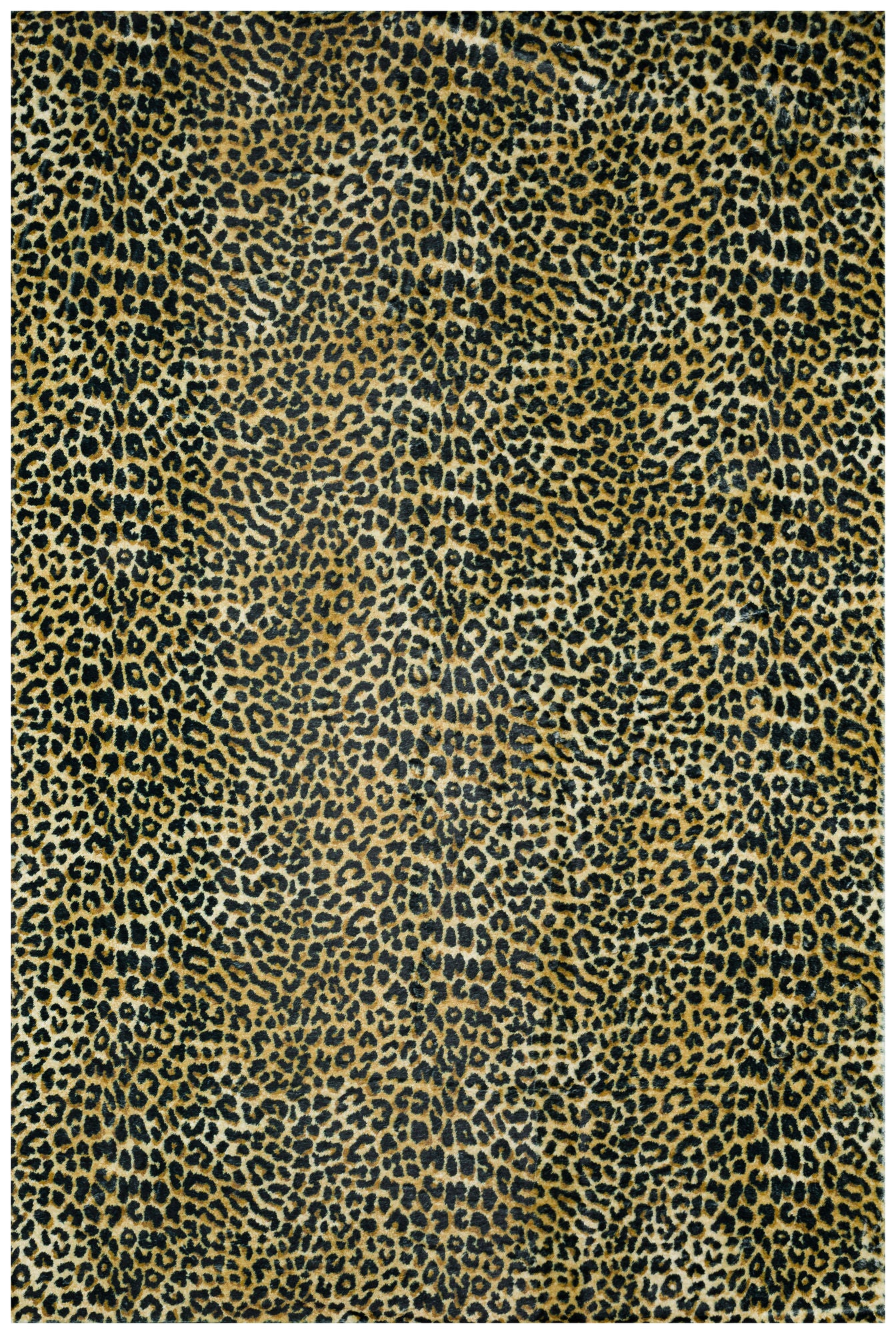 Akina AK2 Gold 1'8" x 2'6" Rug