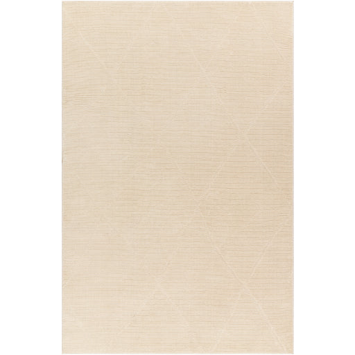 Surya Alder Ald-2300 Rug 23" X 45"